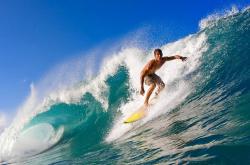 开云足球直播-引擎低吼与城市霓虹，福克斯稳定输出不掉线的F1街道赛之夜