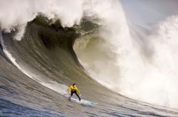 开云平台-浙江队节奏掌控尼克斯，伦纳德如何成为跨洋关键先生