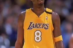 开云体育中国-篮球巨星突然退役,球坛再添别样风采