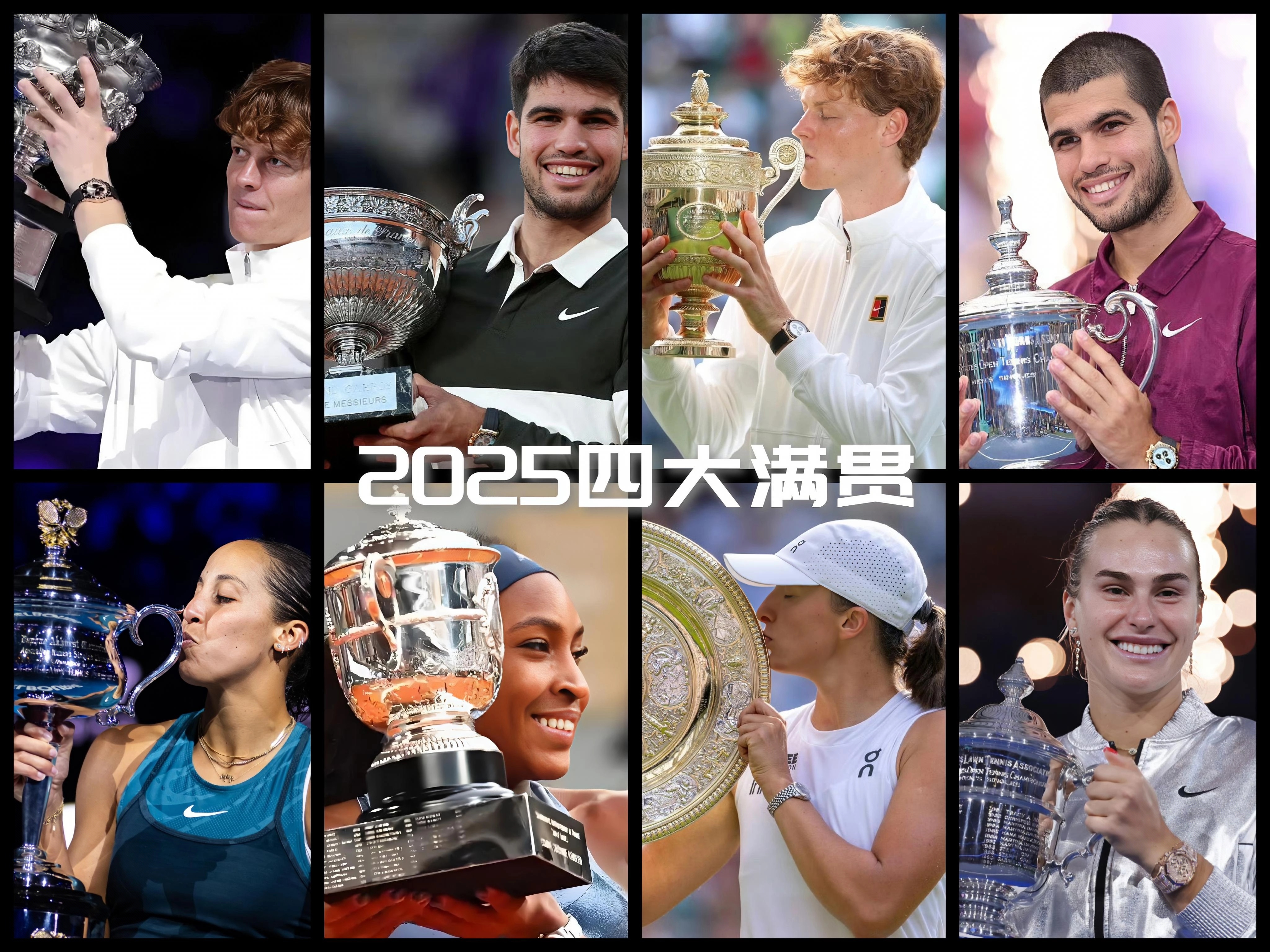 美网险胜戴维斯杯，阿尔卡拉斯惊艳四座的简单介绍