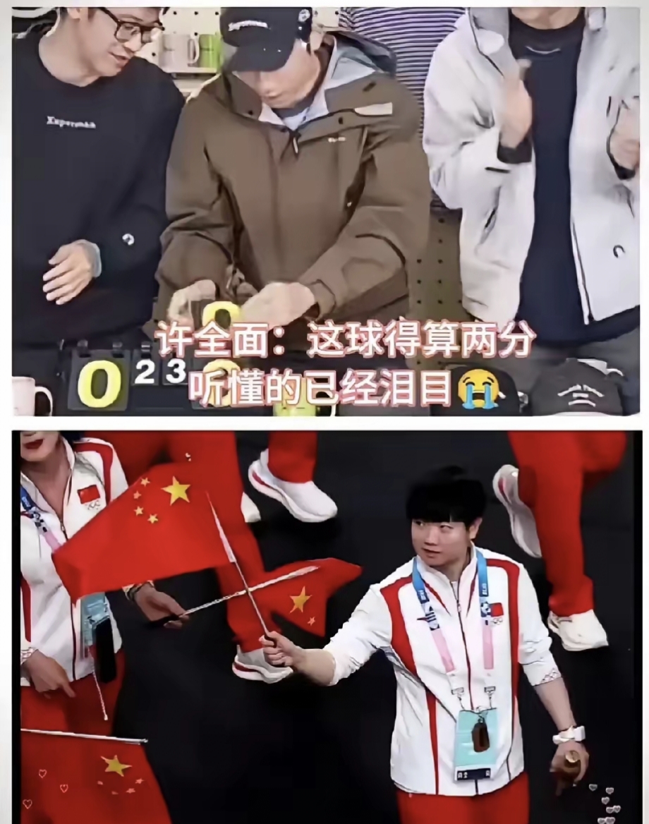 法国队力克中国队，许昕刷新纪录的简单介绍