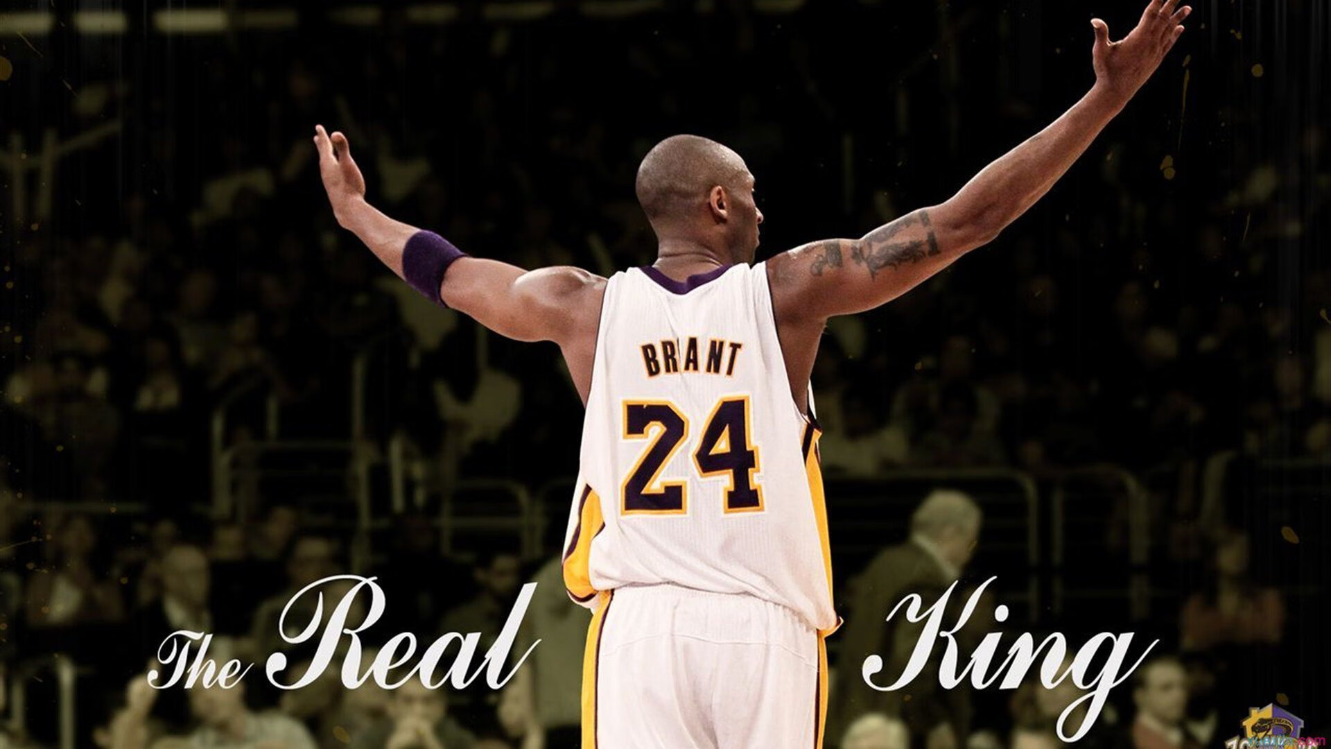 独舞与铁壁，保罗的得分狂潮与森林狼的全面压制艺术